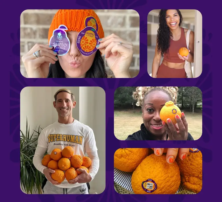 A Healthy Obsession: <br>A Look Back at the 2021 Sumo Citrus Season” class=”blog_hero__bg” />  
        <img src=
