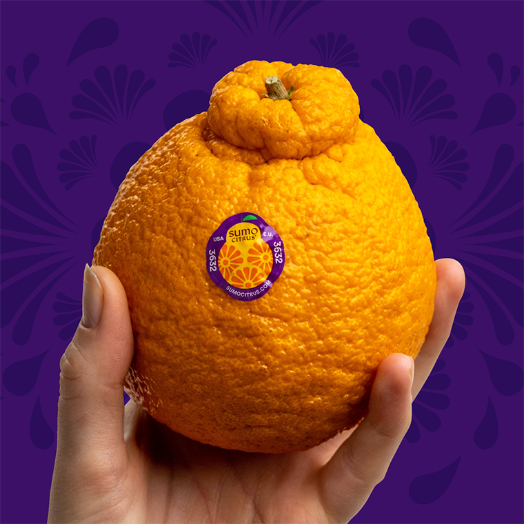 Sumo Citrus 101: The Guide to the World’s Most Loved Fruit