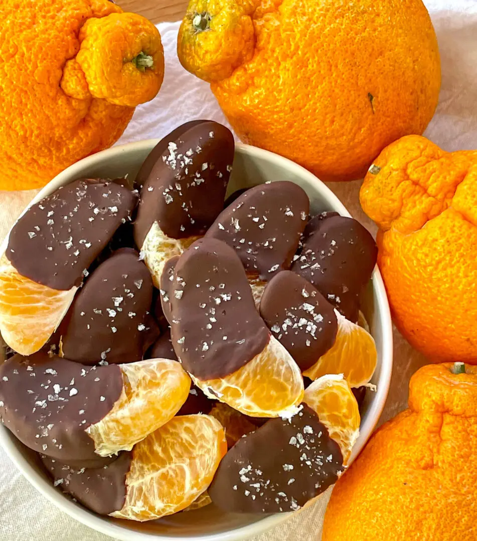 chocolate-covered-sumo-citrus