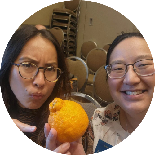 Sumo Citrus is what you wish every other type of citrus was.