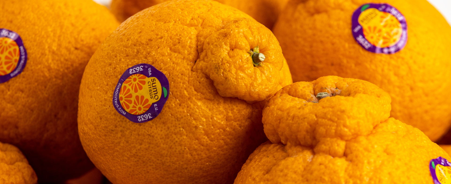 Sumo Citrus