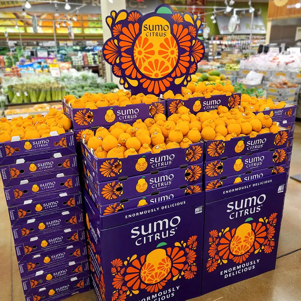 Sumo様 3点セット Sumo様 3点セット