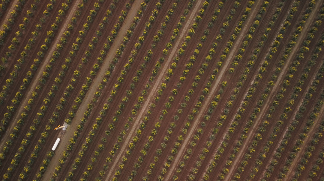 San Joaquin Growers Service Ranch - Porterville California