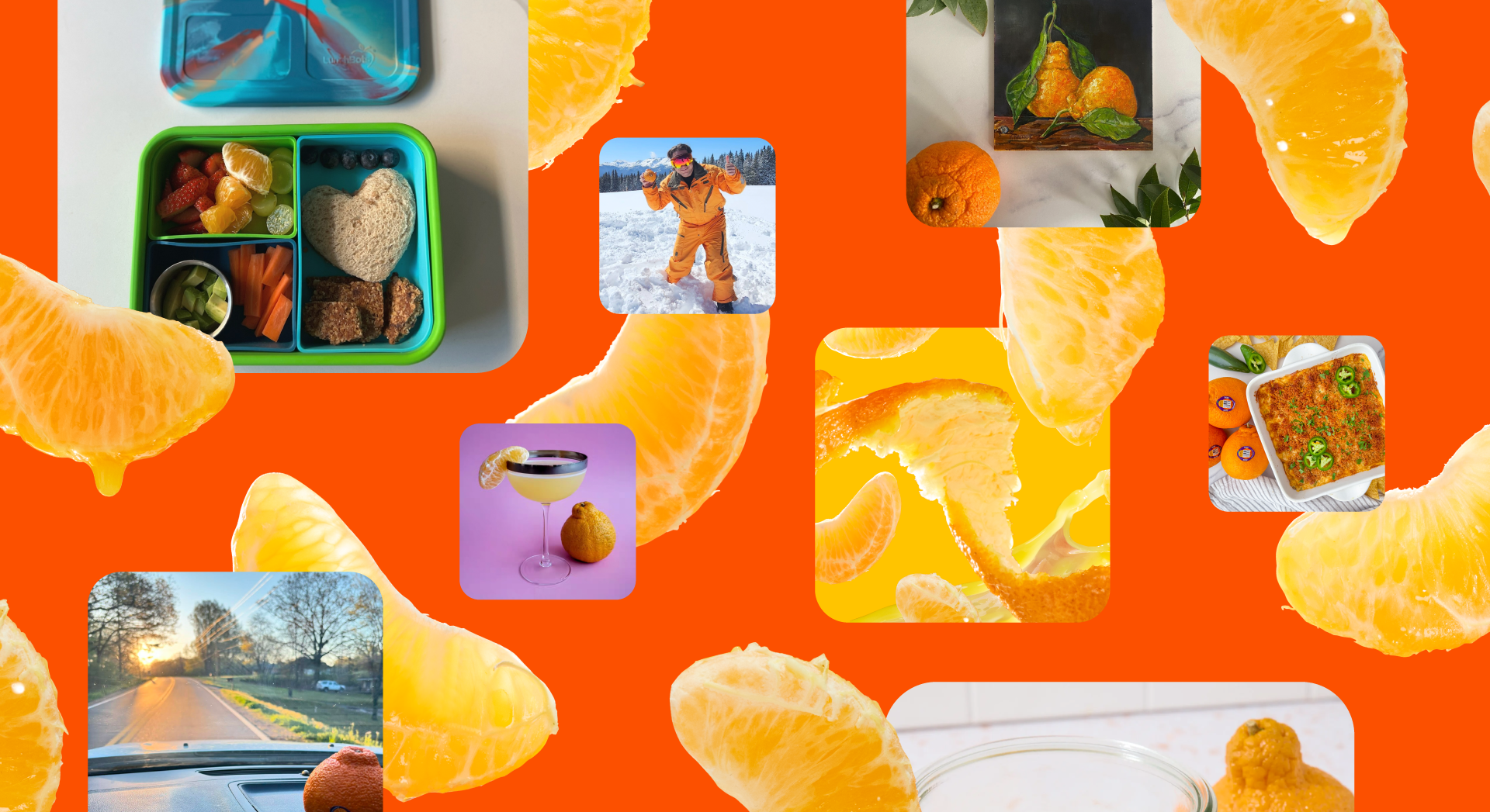 Obsessed with the Ultimate Citrus Experience