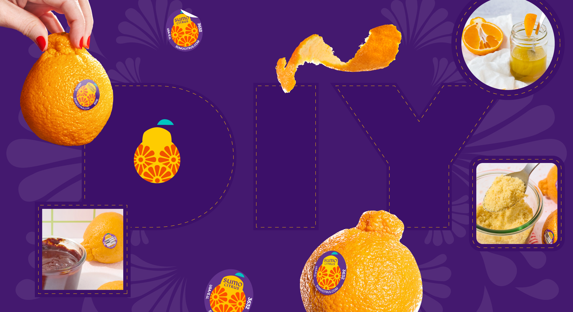 How to Survive the Sumo Citrus Offseason