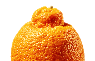Enormous
