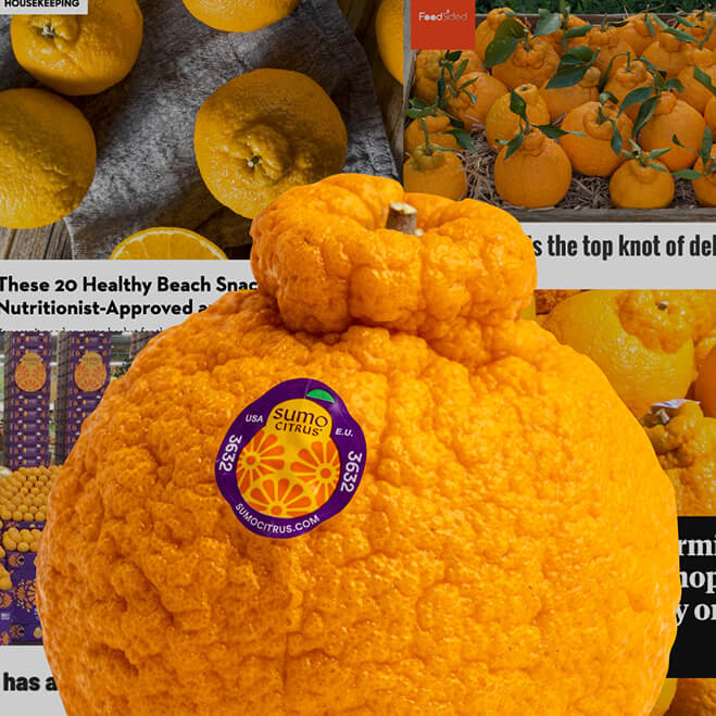 What Are Sumo Oranges? Meet the Tasty Citrus Fruit That's on TikTok
