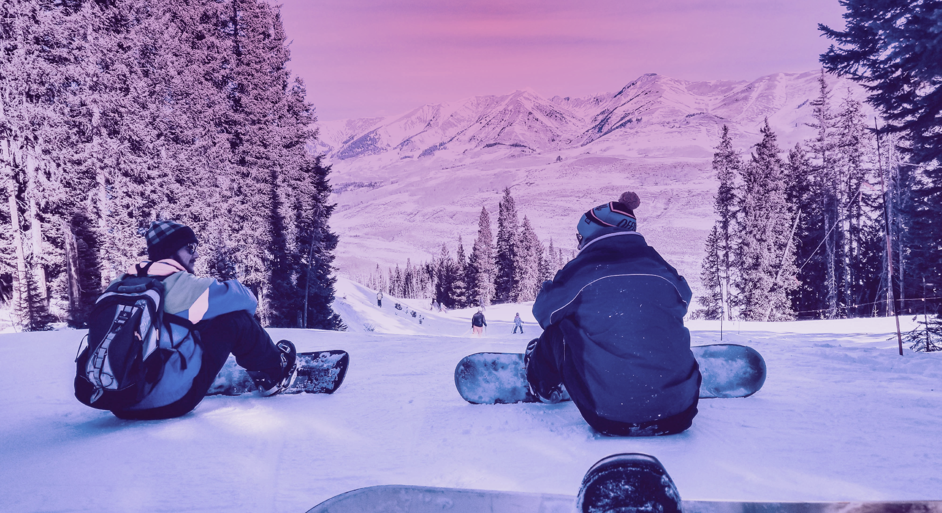 Take a Joy Ride with Sumo Citrus - Sumo Citrus